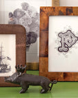 Pigeon and Poodle Basel Young Pen Shell Frame