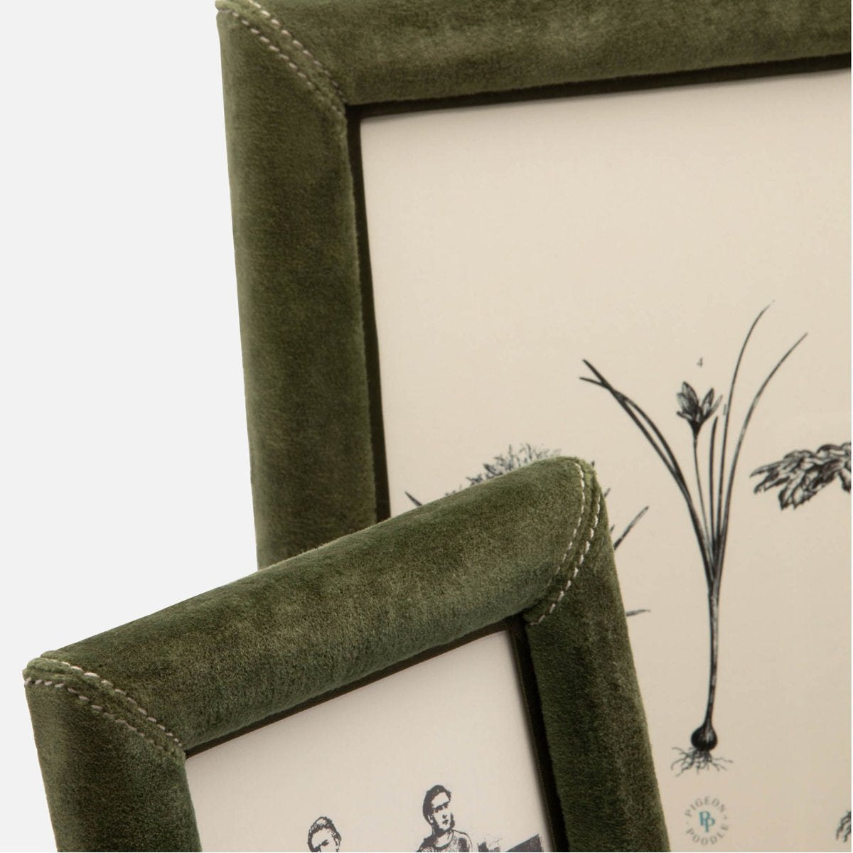 Pigeon and Poodle Juneau Velvet Frame