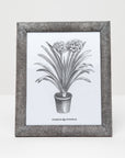 Pigeon and Poodle Oxford Realistic Faux Shagreen Frame