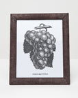 Pigeon and Poodle Oxford Realistic Faux Shagreen Frame