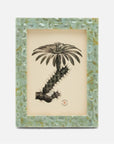 Pigeon and Poodle Safi Mint Green Frame