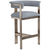 Interlude Home Darcy Counter Stool - Marsh