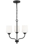 Sea Gull Lighting Windom 3-Light Chandelier