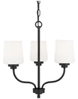 Sea Gull Lighting Windom 3-Light Chandelier