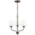 Sea Gull Lighting Windom 3-Light Chandelier