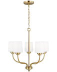 Sea Gull Lighting Windom 5-Light Chandelier