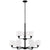 Sea Gull Lighting Canfield 9-Light Chandelier