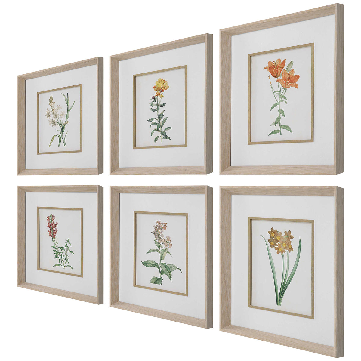 Uttermost Classic Botanicals Framed Prints, 6-Piece Set