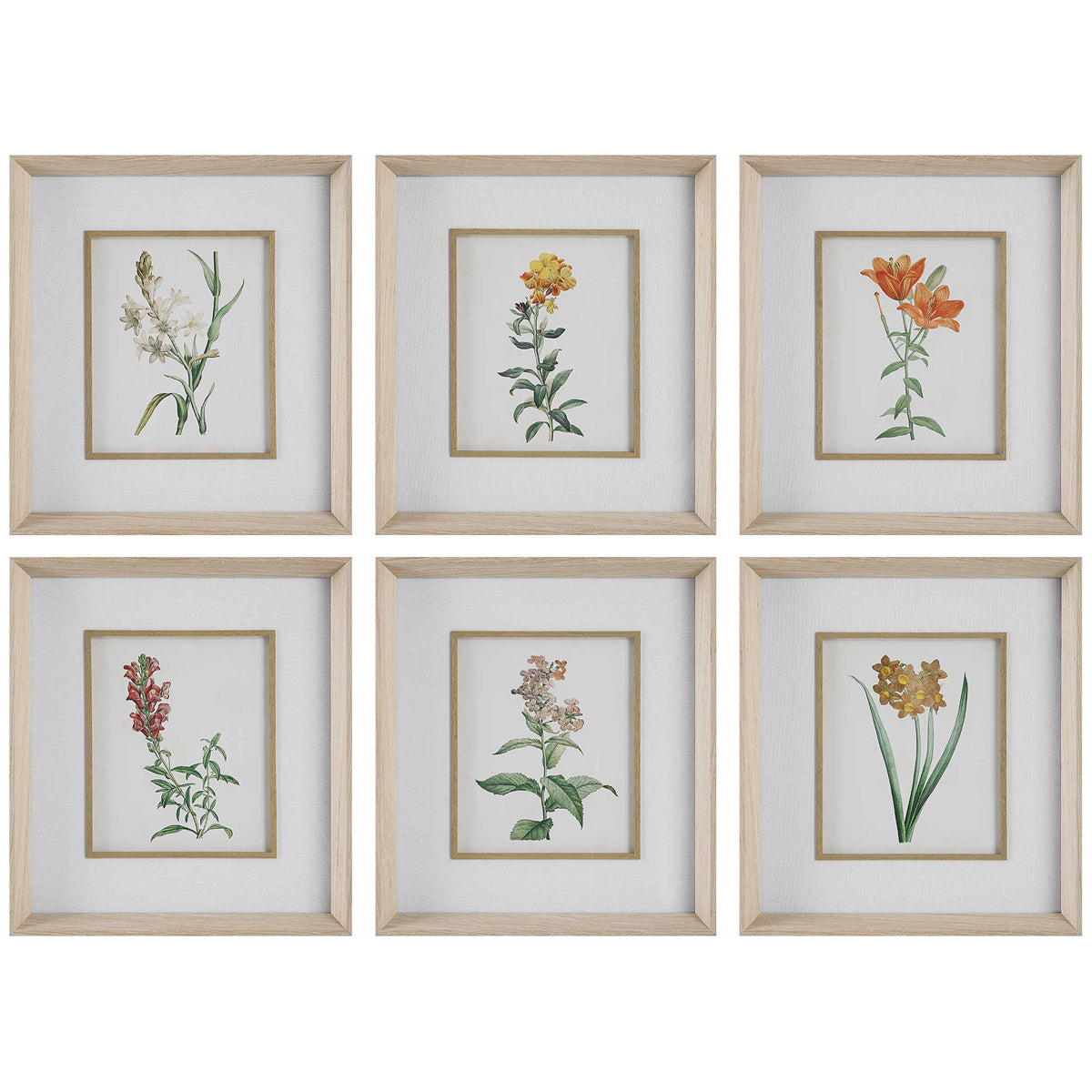 Uttermost Classic Botanicals Framed Prints, 6-Piece Set