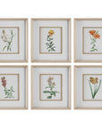 Uttermost Classic Botanicals Framed Prints, 6-Piece Set