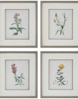 Uttermost Heirloom Blooms Study Framed Prints, 4-Piece Set