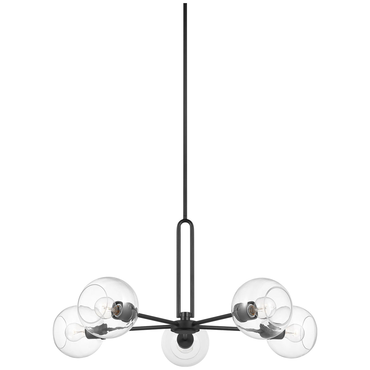 Sea Gull Lighting Codyn 5-Light Chandelier without Bulb