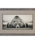 Uttermost Deep Sleep Bear Print