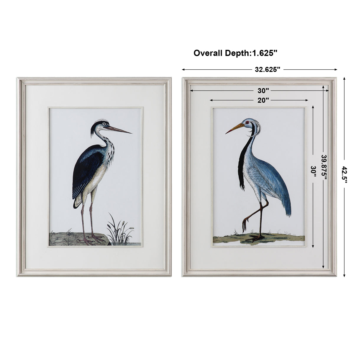 Uttermost Shore Birds Framed Prints, Set of 2