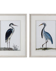 Uttermost Shore Birds Framed Prints, Set of 2