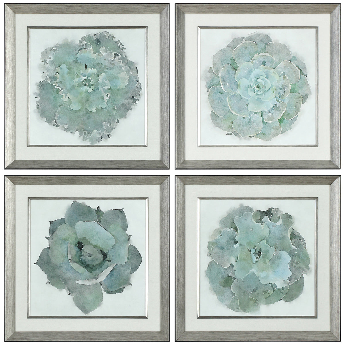 Uttermost Natural Beauties Botanical Prints, Set of 4