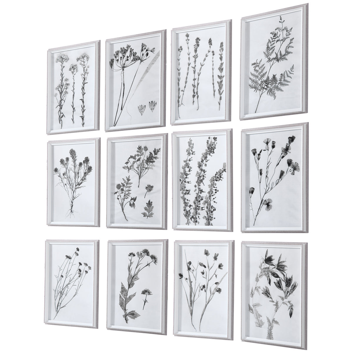 Uttermost Contemporary Botanicals Framed Prints, Set of 12