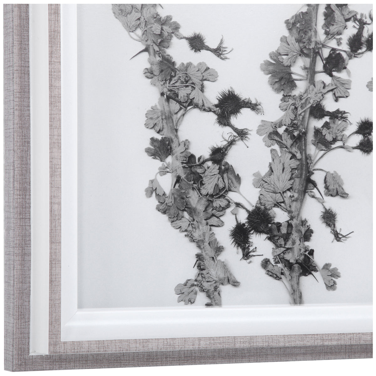 Uttermost Contemporary Botanicals Framed Prints, Set of 12