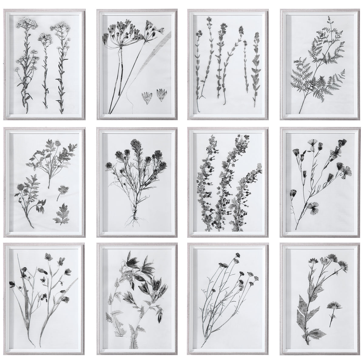 Uttermost Contemporary Botanicals Framed Prints, Set of 12