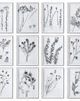 Uttermost Contemporary Botanicals Framed Prints, Set of 12