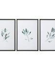 Uttermost Simple Sage Watercolor Prints, Set of 3