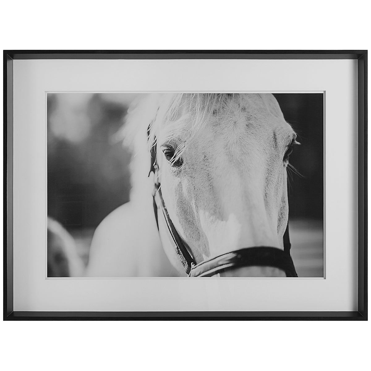 Uttermost Eyes on The Prize Framed Print