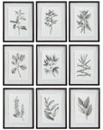 Uttermost Farmhouse Florals Framed Prints, Set of 9