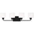 Sea Gull Lighting Canfield 4-Light Wall/Bath Sconce