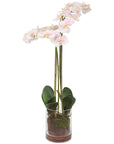 Uttermost Blush Pink and White Orchid