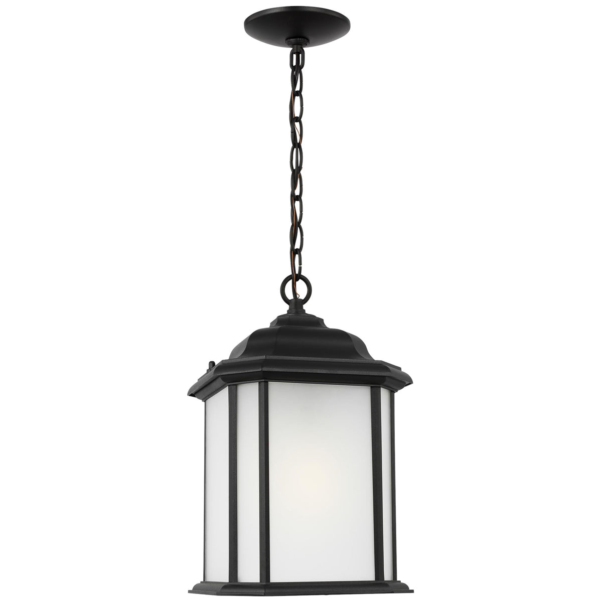 Sea Gull Lighting Kent 1-Light Outdoor Pendant with Bulb