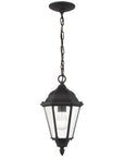 Sea Gull Lighting Bakersville 1-Light Clear Glass Pendant without Bulb