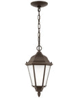 Sea Gull Lighting Bakersville 1-Light Outdoor Pendant without Bulb