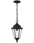 Sea Gull Lighting Bakersville 1-Light Outdoor Pendant with Bulb