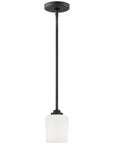 Sea Gull Lighting Windom 1-Light Mini-Pendant