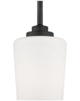 Sea Gull Lighting Windom 1-Light Mini-Pendant