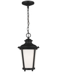 Sea Gull Lighting Cape May 1-Light Outdoor Pendant with Bulb