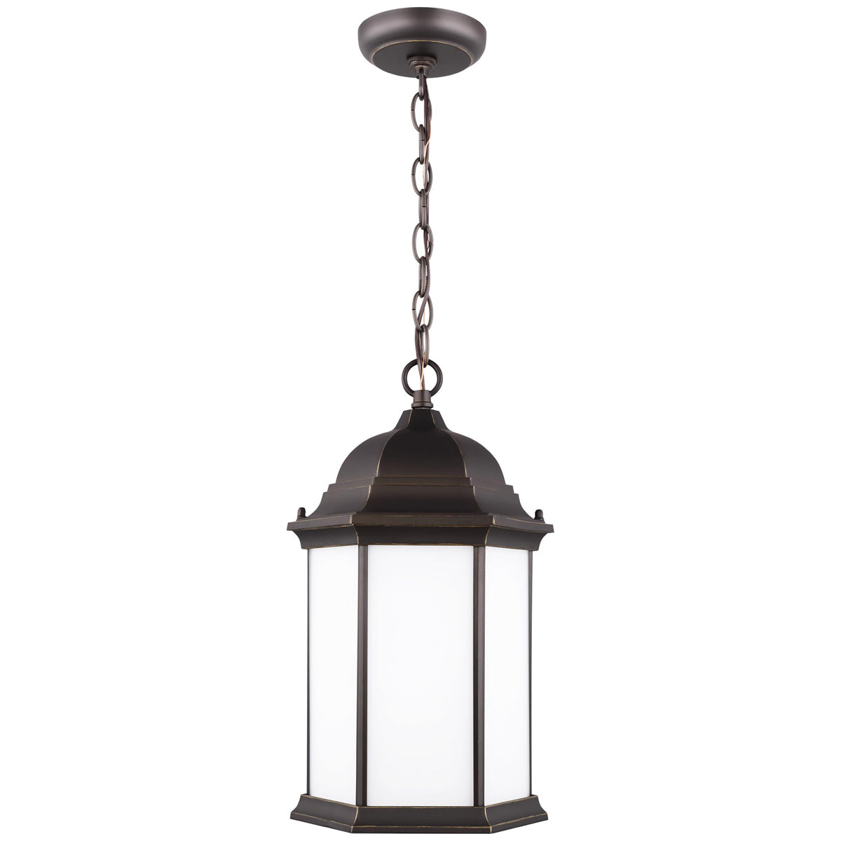 Sea Gull Lighting Sevier 1-Light Outdoor Pendant without Bulb