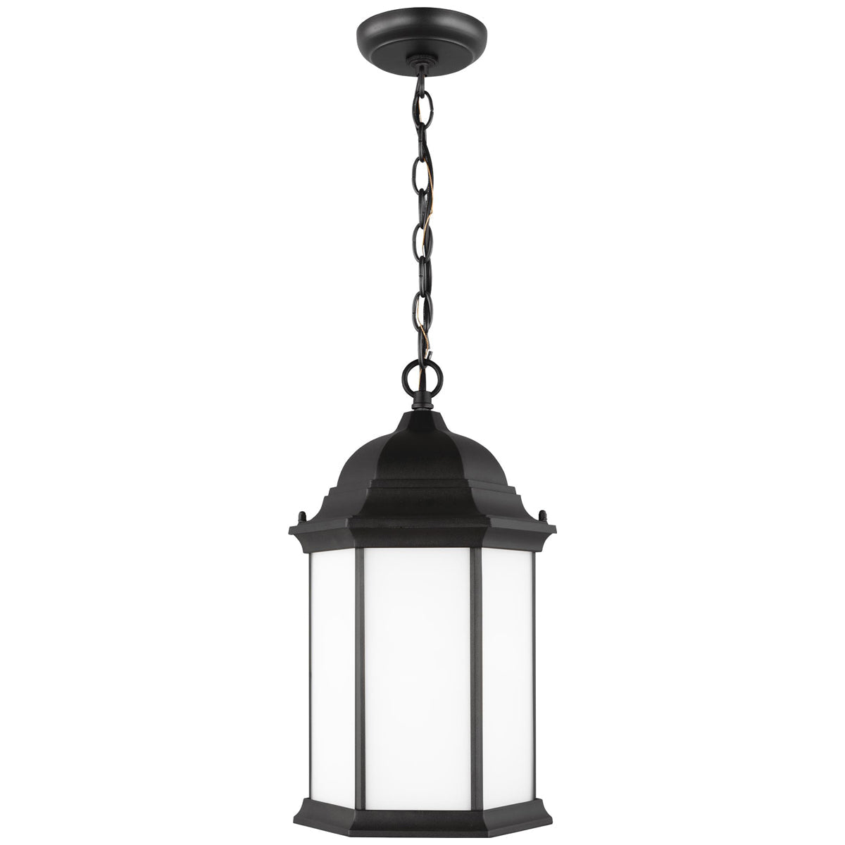 Sea Gull Lighting Sevier 1-Light Outdoor Pendant with Bulb