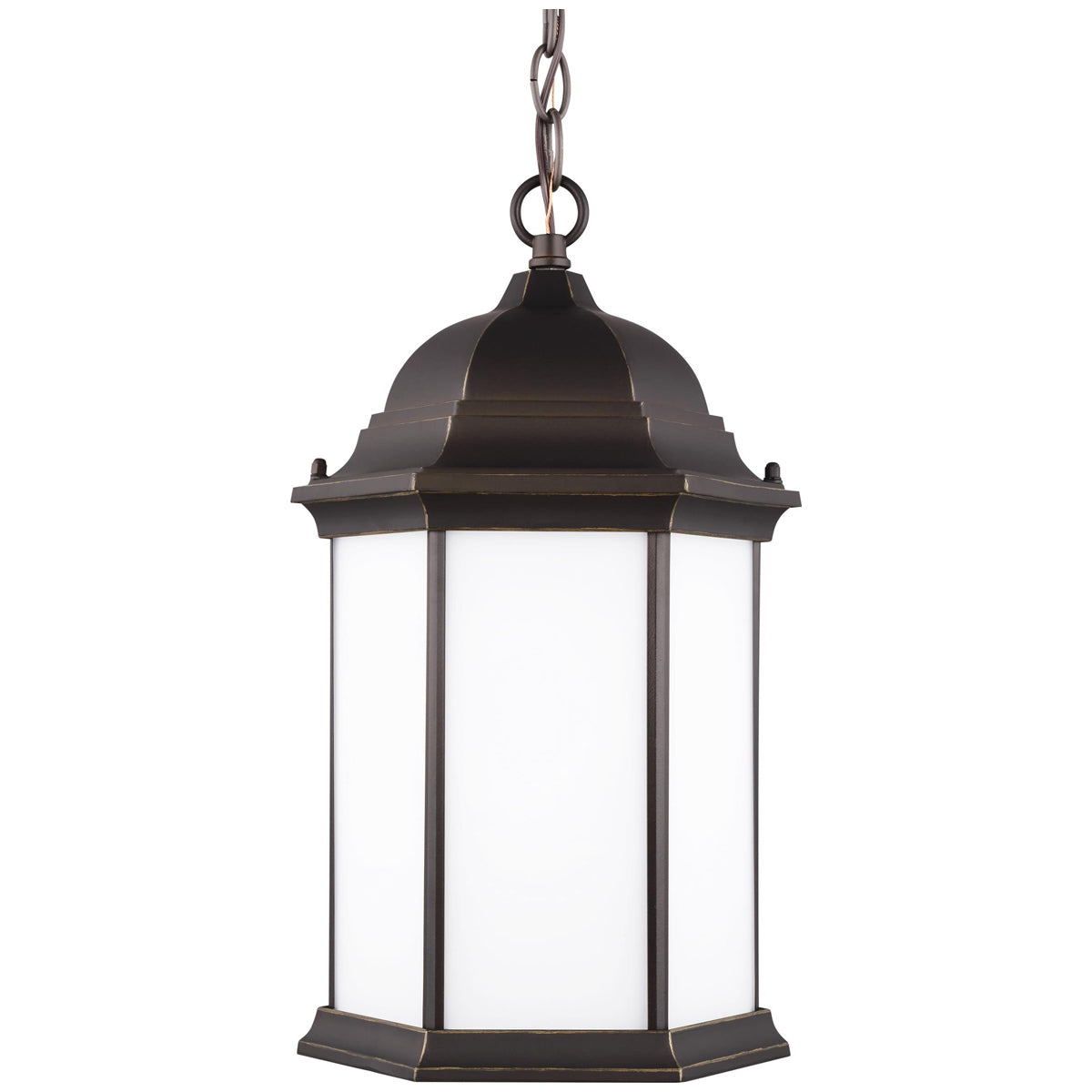 Sea Gull Lighting Sevier 1-Light Outdoor Pendant with Bulb