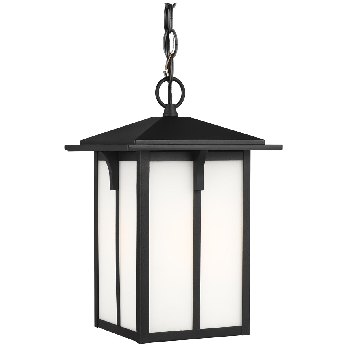 Sea Gull Lighting Tomek 1-Light Outdoor Pendant with Bulb