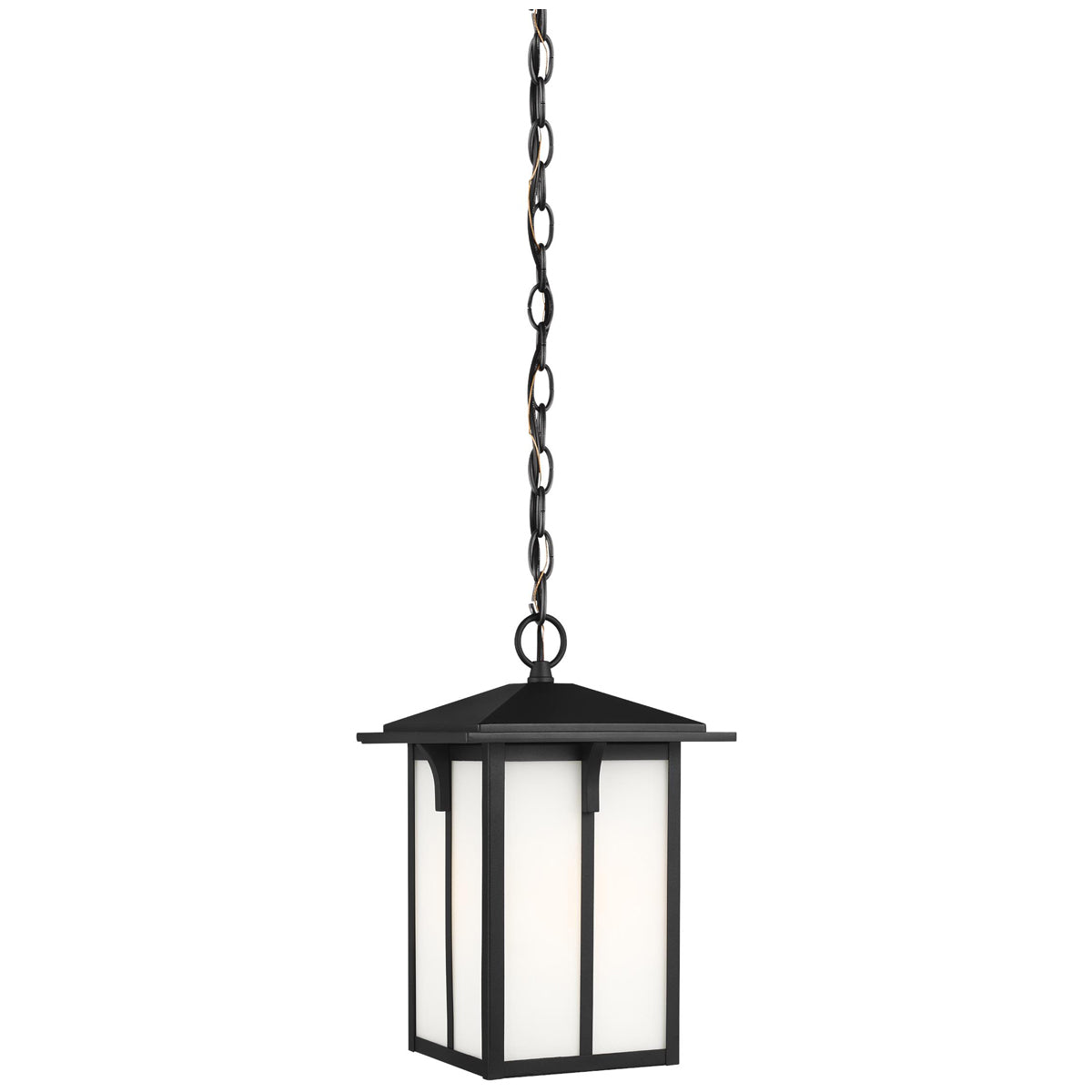 Sea Gull Lighting Tomek 1-Light Outdoor Pendant with Bulb