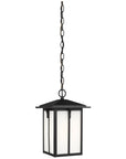 Sea Gull Lighting Tomek 1-Light Outdoor Pendant with Bulb