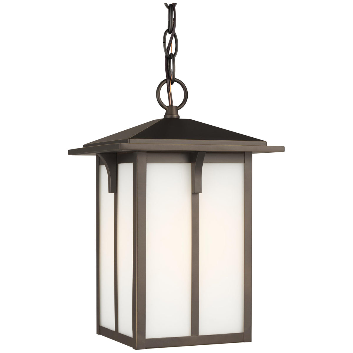 Sea Gull Lighting Tomek 1-Light Outdoor Pendant with Bulb