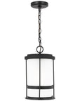 Sea Gull Lighting Wilburn 1-Light Outdoor Pendant Lantern with Bulb