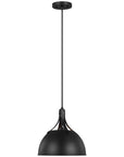 Sea Gull Lighting Rockland 1-Light Pendant