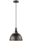 Sea Gull Lighting Rockland 1-Light Pendant