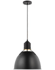 Sea Gull Lighting Huey 1-Light Medium Pendant without Bulb