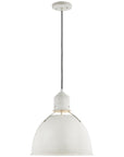 Sea Gull Lighting Huey 1-Light Medium Pendant without Bulb