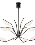 Tech Lighting Belterra Chandelier