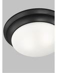 Sea Gull Lighting Nash 2-Light Flush Mount